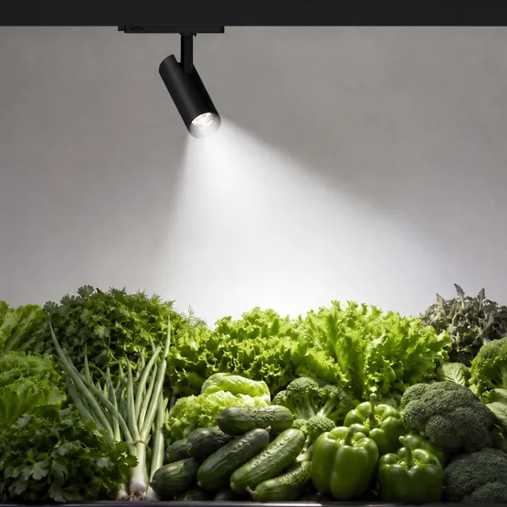 Фото #2 товара Светильник LGD-GERA-4TR-R90-30W Day SP5000-Veg (Черный, 15 deg, 230V) (Arlight, IP20 Металл, 5 лет)