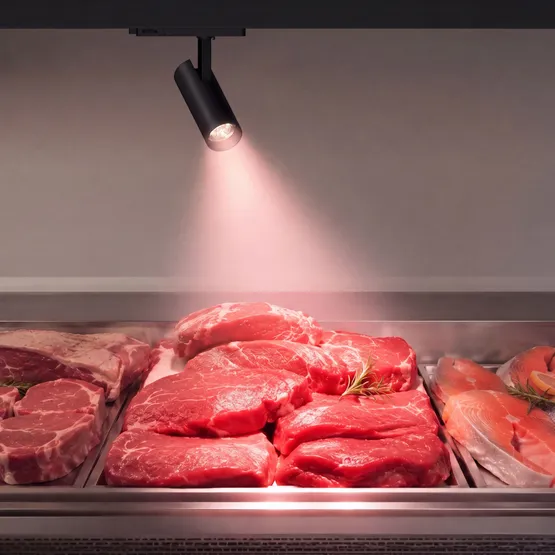 Фото #2 товара Светильник LGD-GERA-4TR-R90-30W Warm SP2900-Meat (Черный, 55 deg, 230V) (Arlight, IP20 Металл, 5 лет)