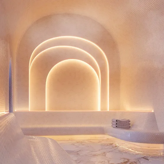 Фото #4 товара Светодиодная лента герметичная COB-PSW-X480-8mm 24V Warm2700 (6 W/m, IP67, TWP100, 5m) (Arlight, CRI>90)