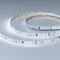 Минифото #1 товара Светодиодная лента DMX-A96-12mm 24V White6000-PX12 (14 W/m, IP20, 5m) (Arlight, -)
