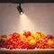 Минифото #2 товара Светильник LGD-GERA-4TR-R90-30W Warm SP3000-Fruit (Черный, 24 deg, 230V) (Arlight, IP20 Металл, 5 лет)
