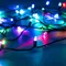 Минифото #1 товара Светодиодная гирлянда ARD-STRING-CLASSIC-9000-BLACK-60LED-LIVE RGB-SPI (12V, 40W) (Ardecoled, IP65)